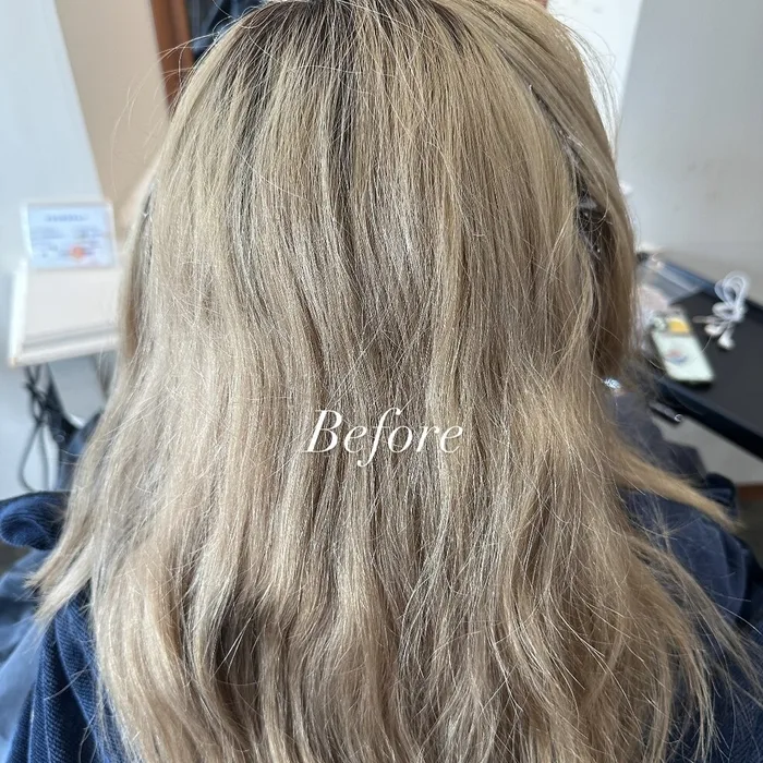 ロングレイヤー