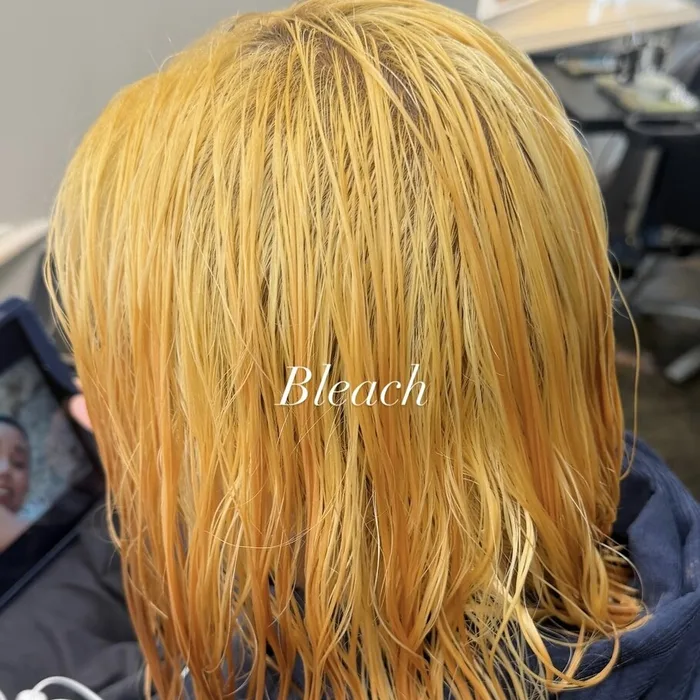 バレイヤージュ